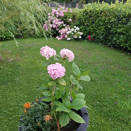 Apartmán Wintergarten *