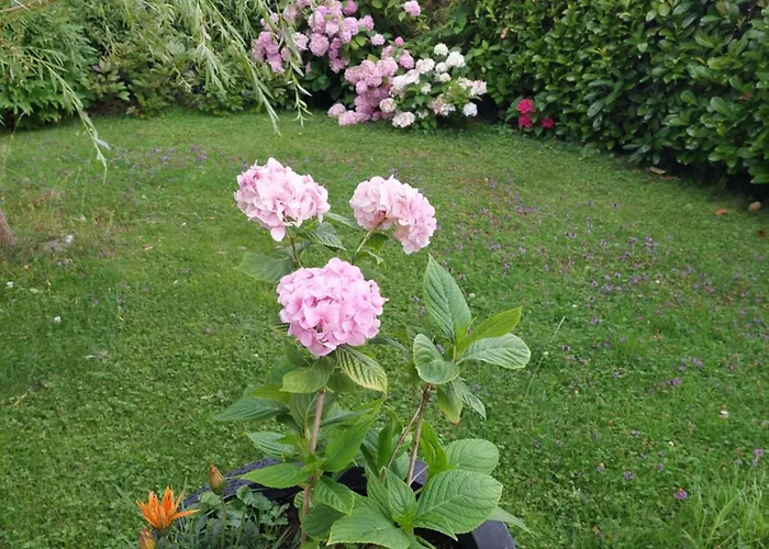 Daire Wintergarten *